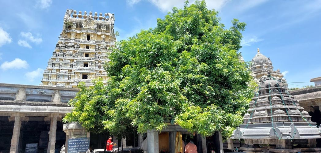 Ekambareswarar Temple