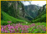 Valley of Flowers, Himalayas