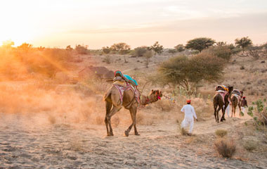 Jewels of Rajasthan